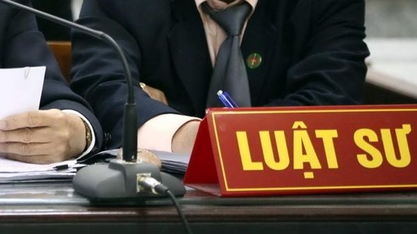 Học Luật Kinh tế ra trường làm luật sư.