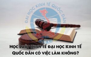 học luật kinh tế đại học quốc dân có việc làm không