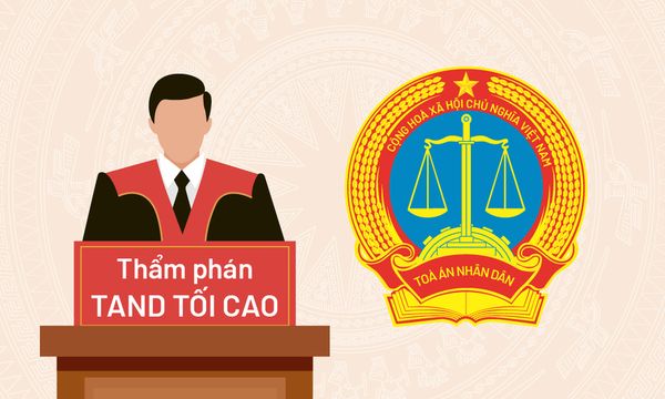 Học Luật ra làm thẩm phán.