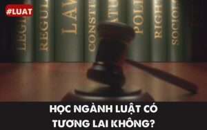 học ngành luật có tương lai không
