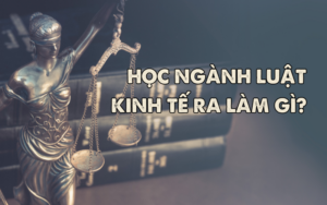 học ngành luật kinh tế ra làm gì