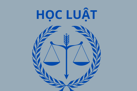 Tìm hiểu về ngành Luật