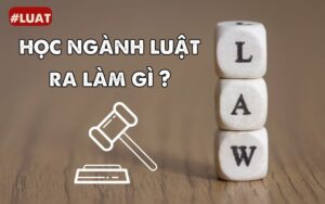 học ngành luật ra làm gì