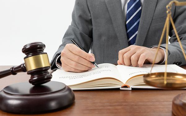 Luật được chia thành nhiều chuyên ngành cho sinh viên lựa chọn.
