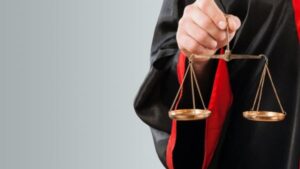 luật gồm những ngành nào