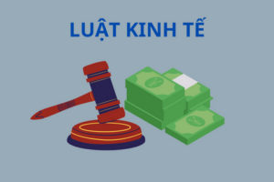 Tìm hiểu về ngành Luật Kinh tế