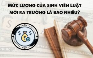 mức lương của sinh viên mới ra trường là bao nhiêu