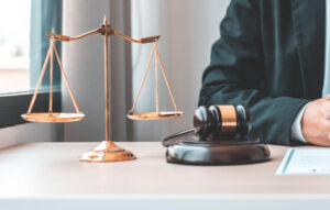 ngành luật học những môn gì