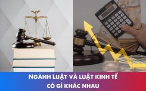 ngành luật và luật kinh tế có gì khác nhau