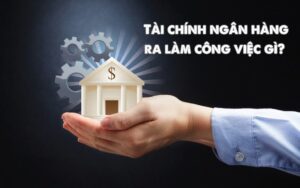 tài chính ngân hàng ra làm gì